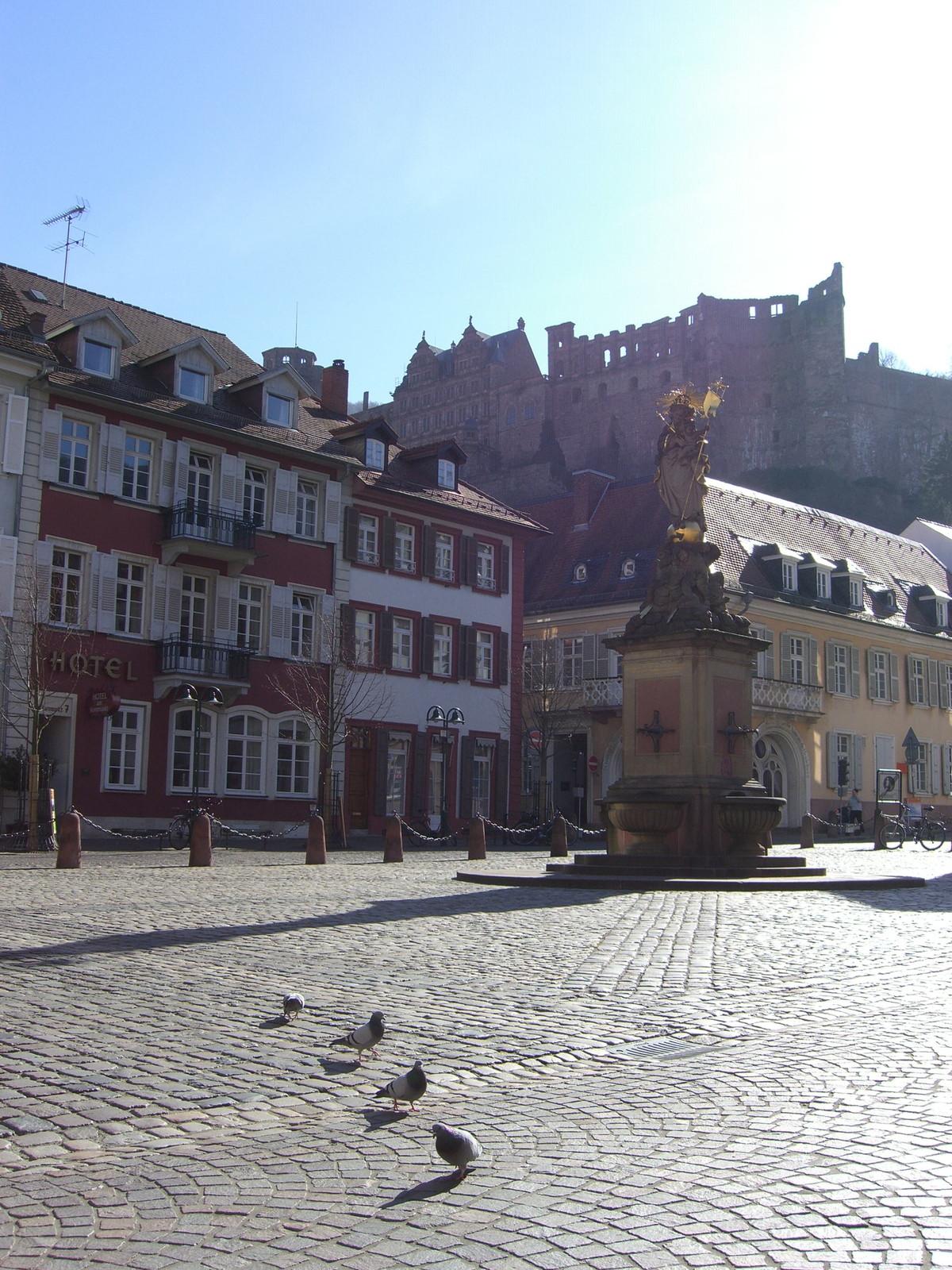 Heidelberg Castle Altstadt
